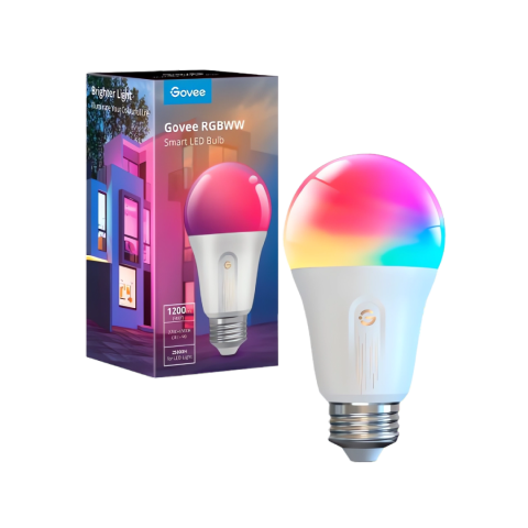 Govee Smart Wifi Light Bulb H6009